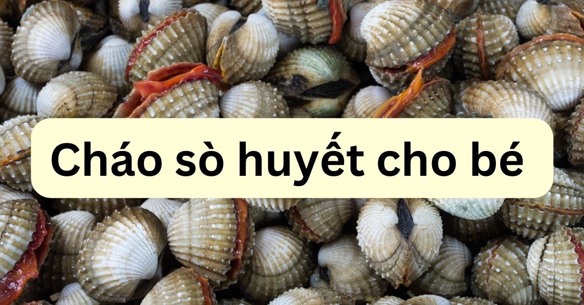 6 cách nấu cháo sò huyết cho bé thơm ngon, bổ dưỡng