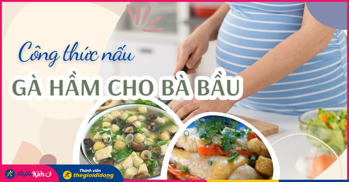 Gà hầm thuốc bắc có tốt cho bà bầu? Lợi ích và những lưu ý quan trọng