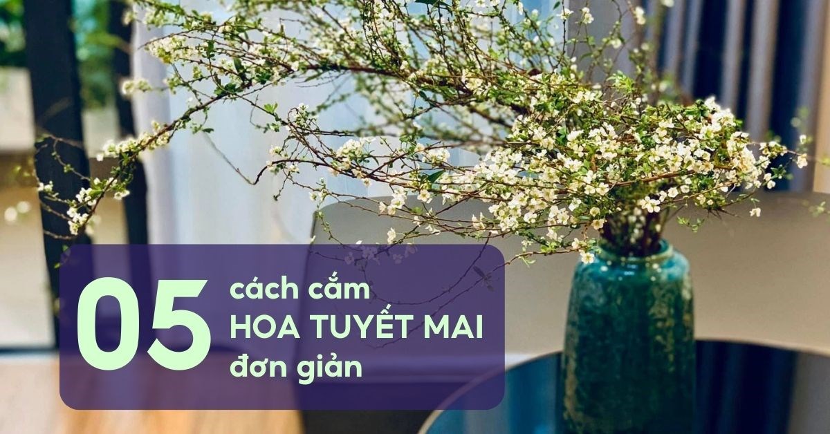 Gợi ý mẹ 5 cách cắm hoa tuyết mai đẹp mắt đẹp nhà, chưng ngày Tết