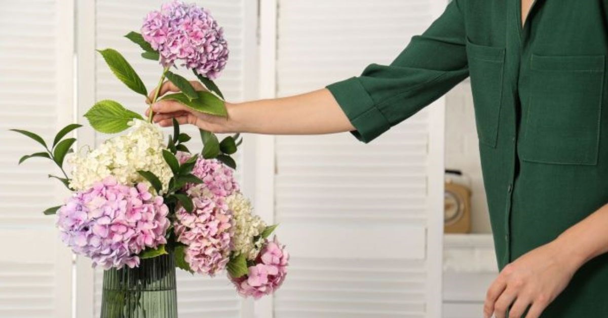 5+ cách cắm hoa cẩm tú cầu đẹp lung linh cho mẹ ngày xuân