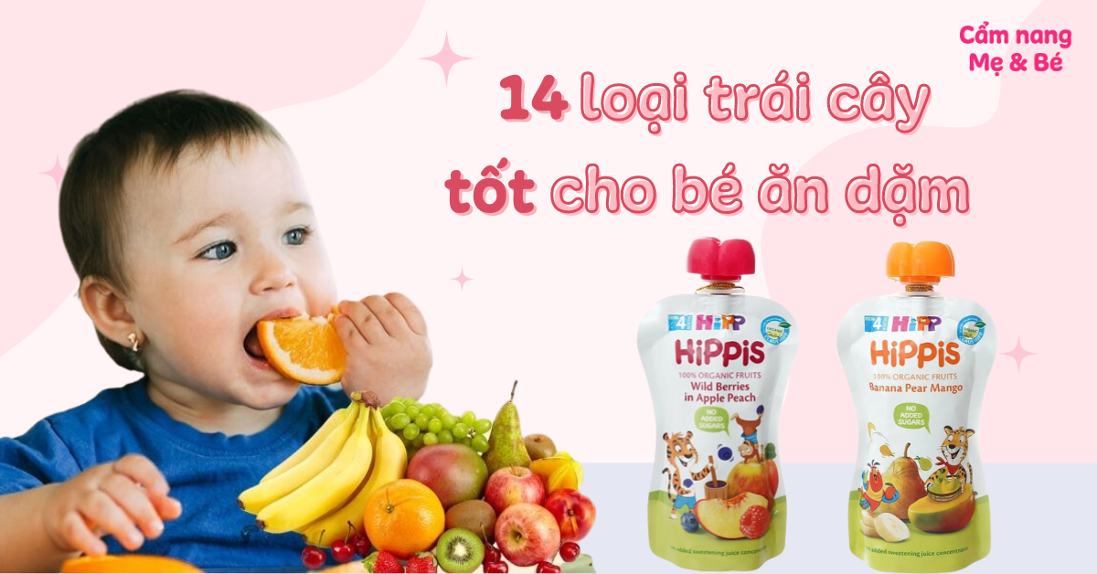 14 loại trái cây tốt cho bé ăn dặm và cách chế biến trái cây ăn dặm cho bé