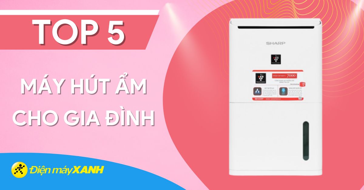 Top 5 máy hút ẩm cần có cho gia đình trong mùa mưa bão ẩm ướt