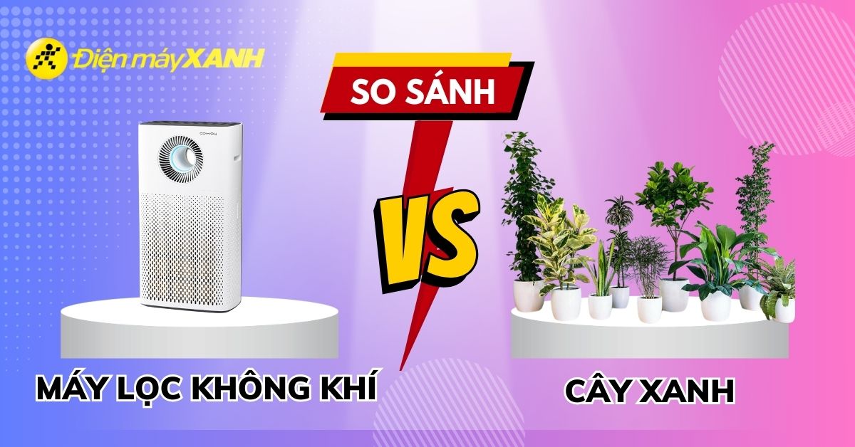 Nên mua máy lọc không khí hay trồng cây trong nhà, cái nào tốt hơn?