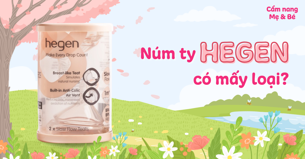 Núm ty Hegen có mấy loại? Các size núm bình Hegen, hướng dẫn sử dụng và vệ sinh