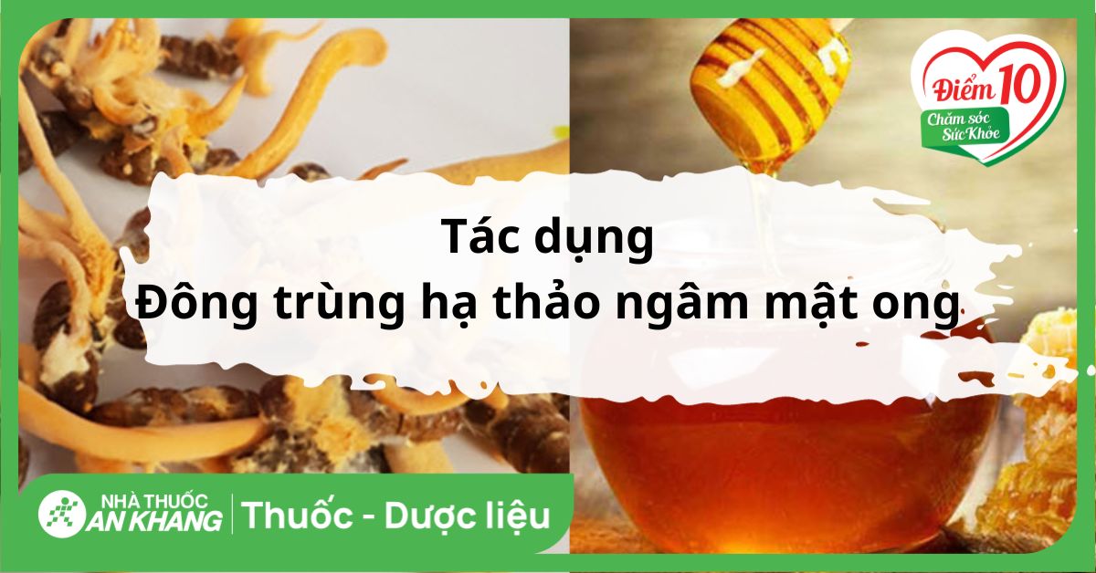 12 tác dụng của đông trùng hạ thảo ngâm mật ong, cách dùng và lưu ý