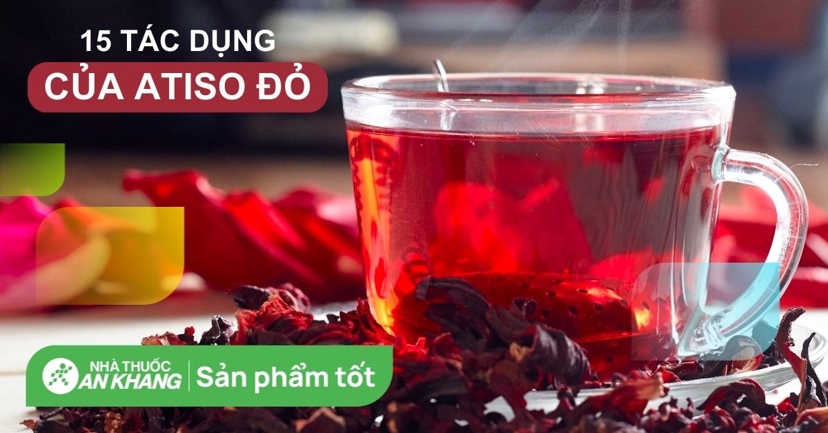 Atiso đỏ có tác dụng gì? 15 công dụng của atiso đỏ với sức khỏe