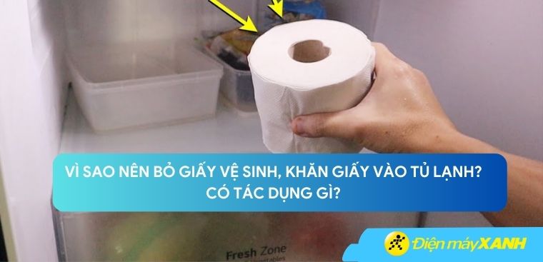 Vì sao nên bỏ giấy vệ sinh, khăn giấy vào tủ lạnh? Có tác dụng gì?