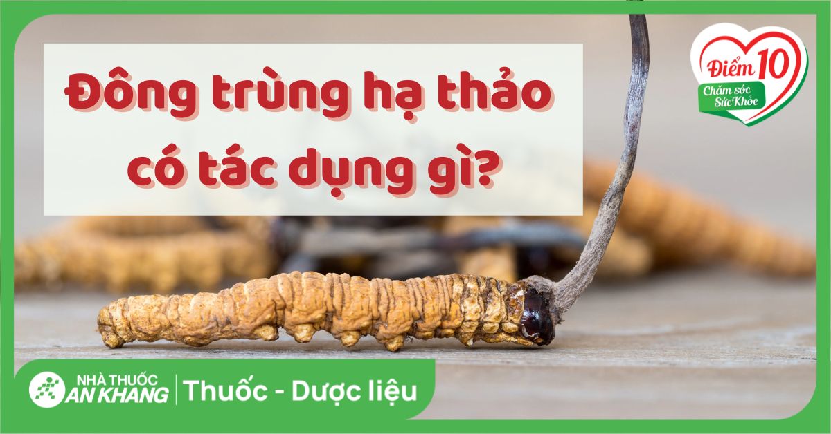 7 cách ngâm rượu đông trùng hạ thảo, công dụng và cách dùng hiệu quả