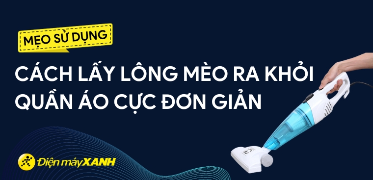 9 cách lấy lông mèo ra khỏi quần áo cực đơn giản, hiệu quả