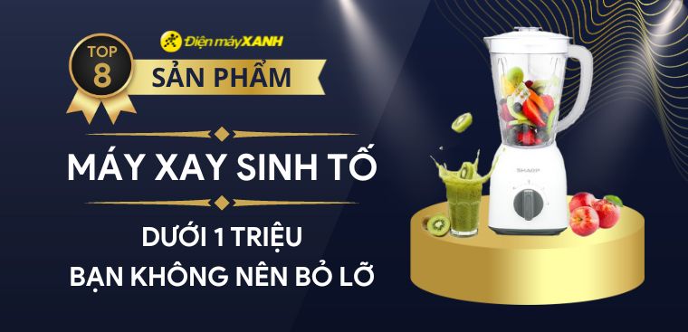 Gợi ý 8 máy xay sinh tố dưới 1 triệu rẻ mà bền tốt bạn không nên bỏ lỡ