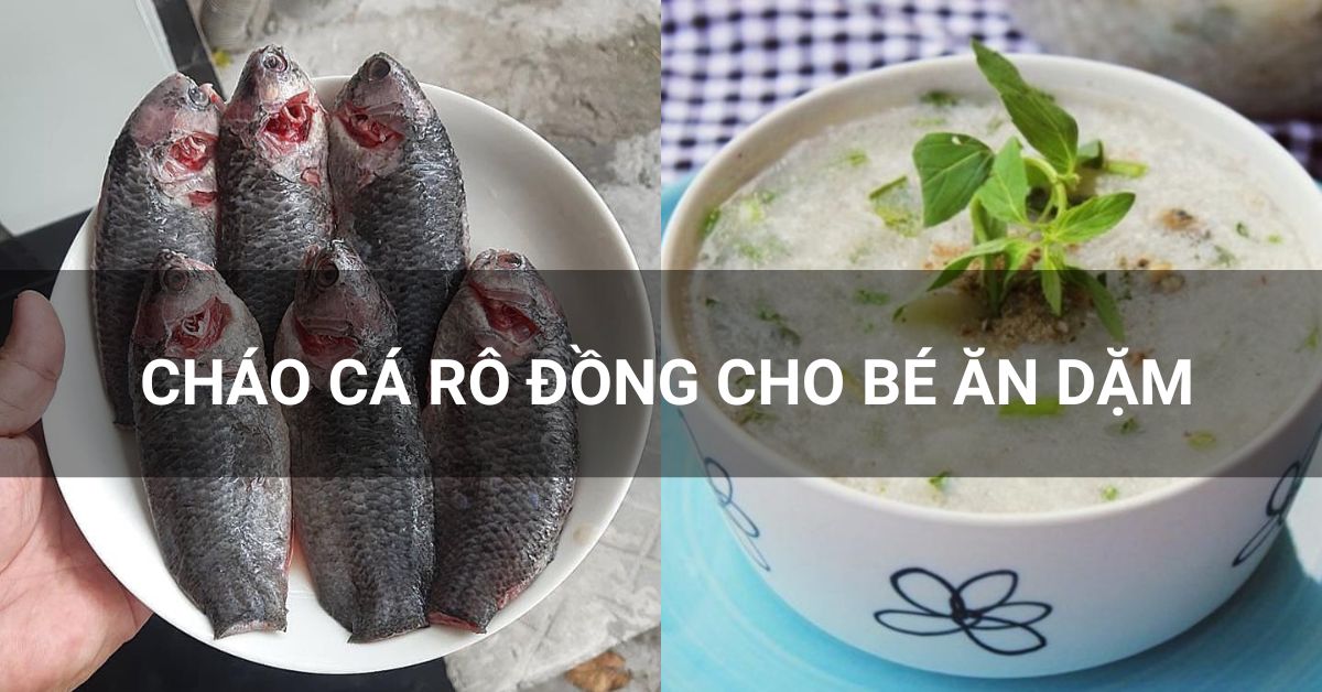 Cháo Cá Rô Đồng Cho Bé 7 Tháng: Cách Nấu Ngon Và Đầy Đủ Dinh Dưỡng