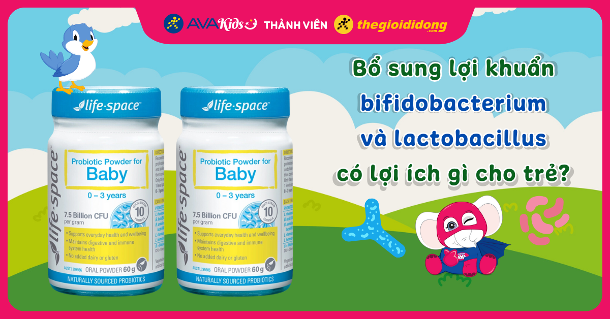 Bổ sung lợi khuẩn bifidobacterium và lactobacillus có lợi ích gì cho trẻ?