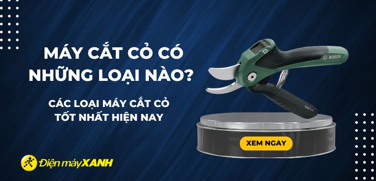 Máy cắt cỏ có những loại nào? Các loại máy cắt cỏ tốt nhất hiện nay