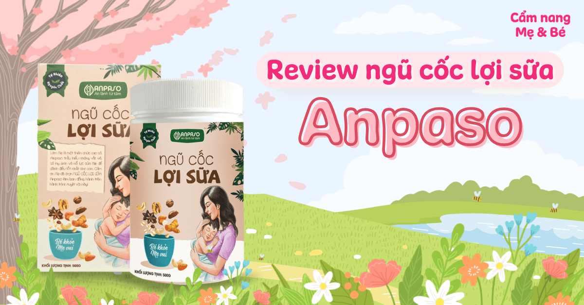 Review ngũ cốc lợi sữa Anpaso có không? Cách sử dụng hiệu quả
