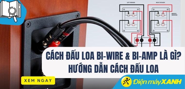 Cách đấu loa Bi-Wire và Bi-Amp là gì? Khác nhau như thế nào? Hướng dẫn cách đấu loa