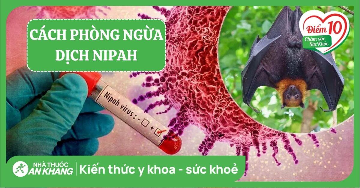 Bùng phát dịch virus Nipah: Cách phòng ngừa bệnh nên biết