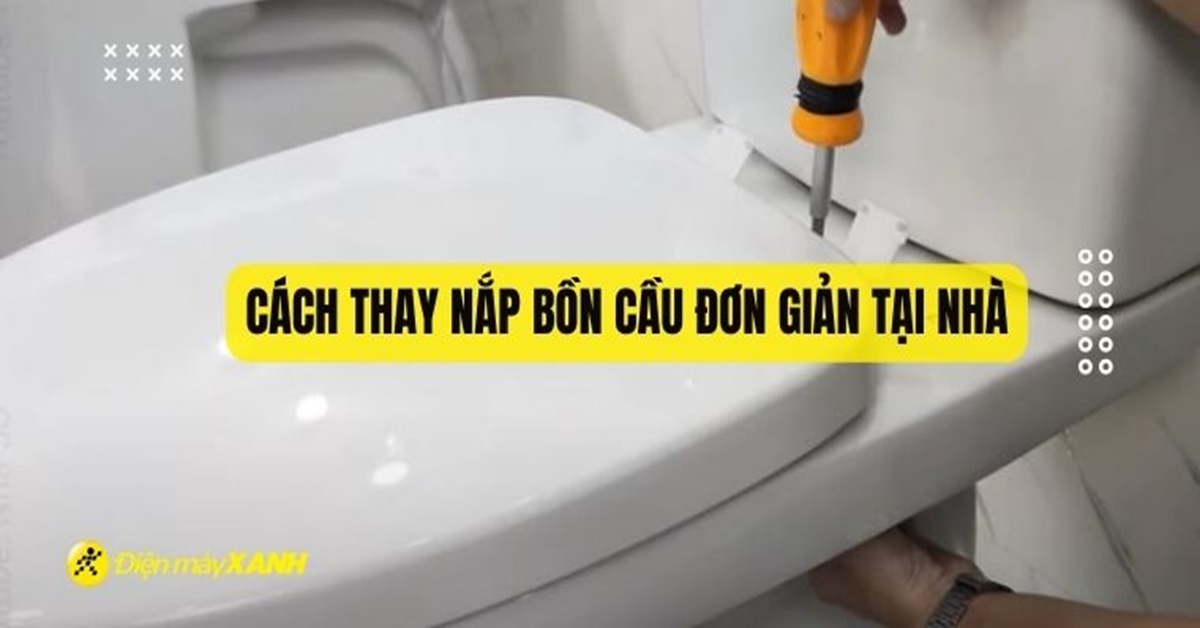 Cách thay nắp bồn cầu đơn giản tại nhà
