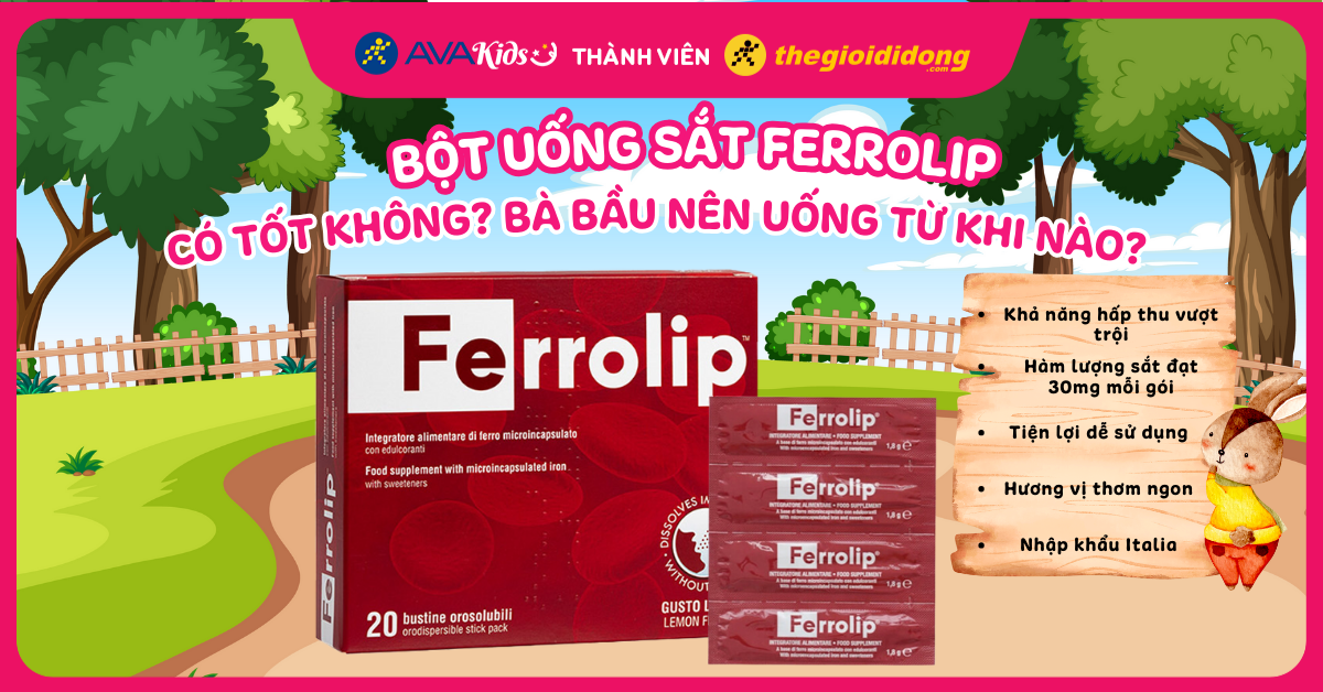 Sắt Ferrolip cho mẹ bầu có tốt không? Nên uống từ khi nào?