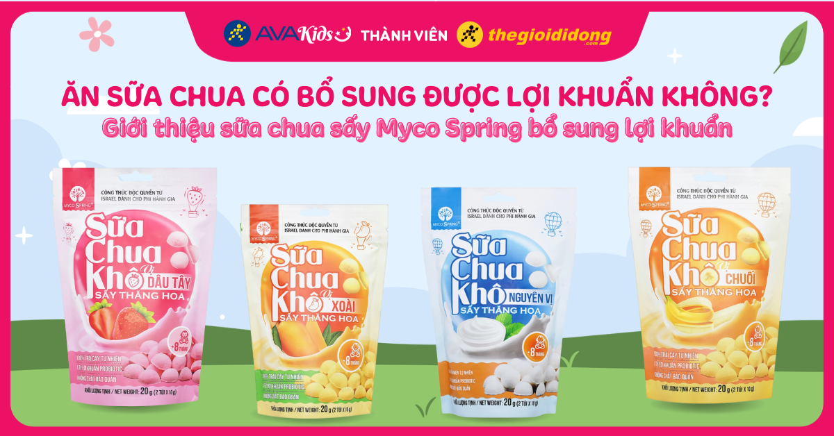 Ăn sữa chua có bổ sung được lợi khuẩn không? Sữa chua sấy Myco Spring bổ sung lợi khuẩn