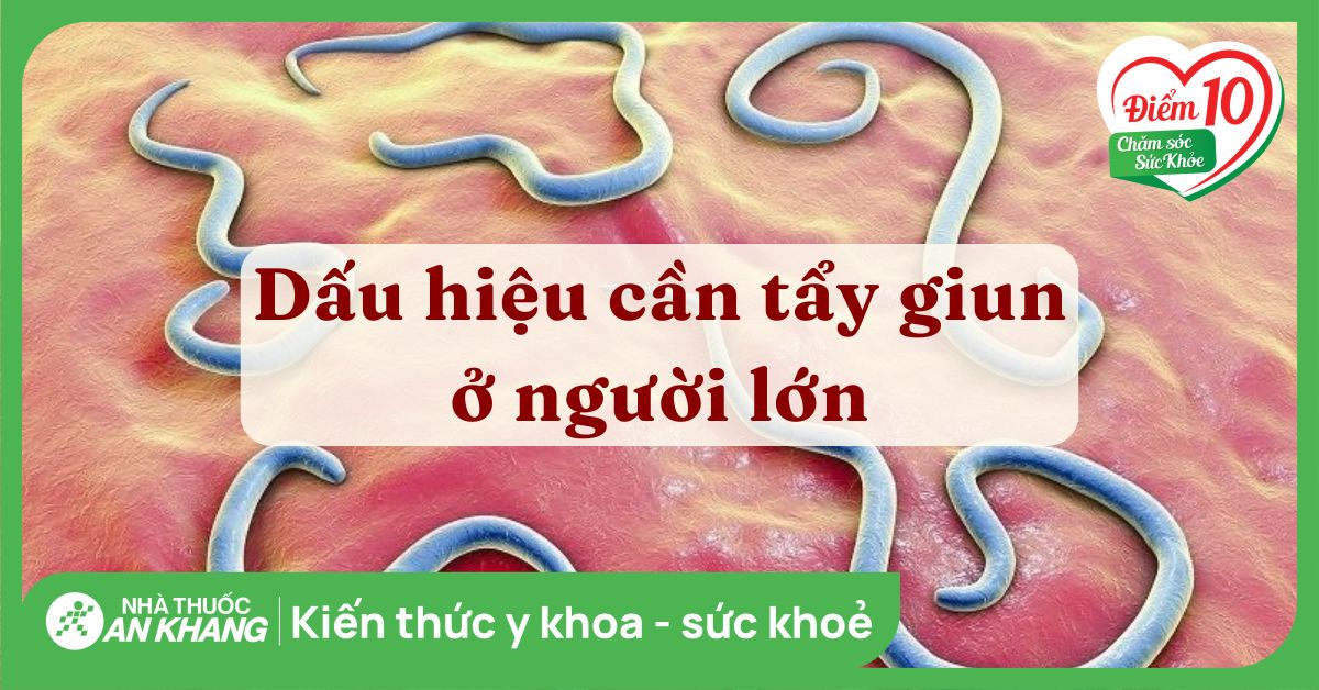 Các dấu hiệu cho thấy cần phải tẩy giun ngay ở người lớn