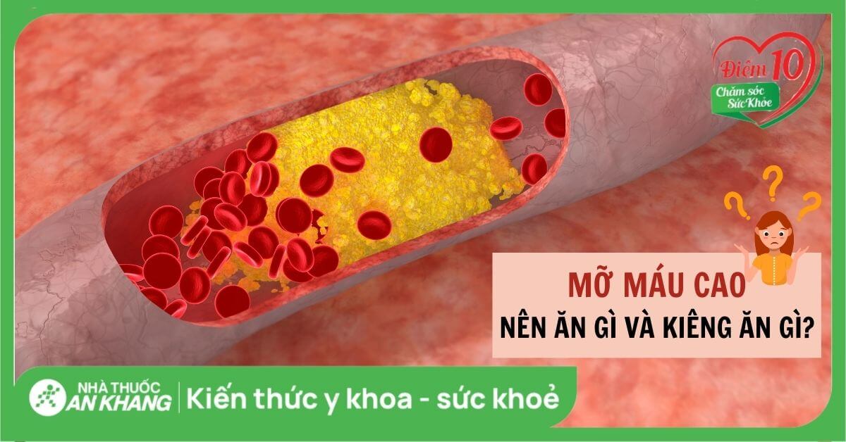Mỡ máu cao kiêng ăn gì và nên ăn gì? Lưu ý khi bị mỡ máu cao