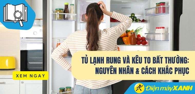 Tủ lạnh rung và kêu to bất thường? Nguyên nhân và cách khắc phục