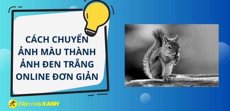 Cách chuyển ảnh màu thành ảnh đen trắng online đơn giản