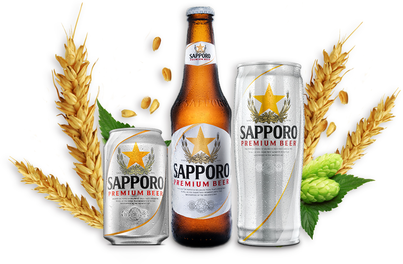 Thùng 6 lon bia Sapporo 650ml 6