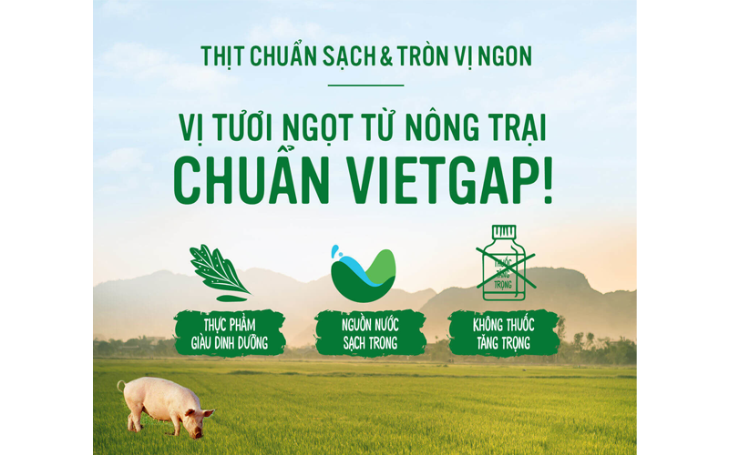 Hạt nêm thịt thăn, xương ống, tủy Knorr gói 170g 2