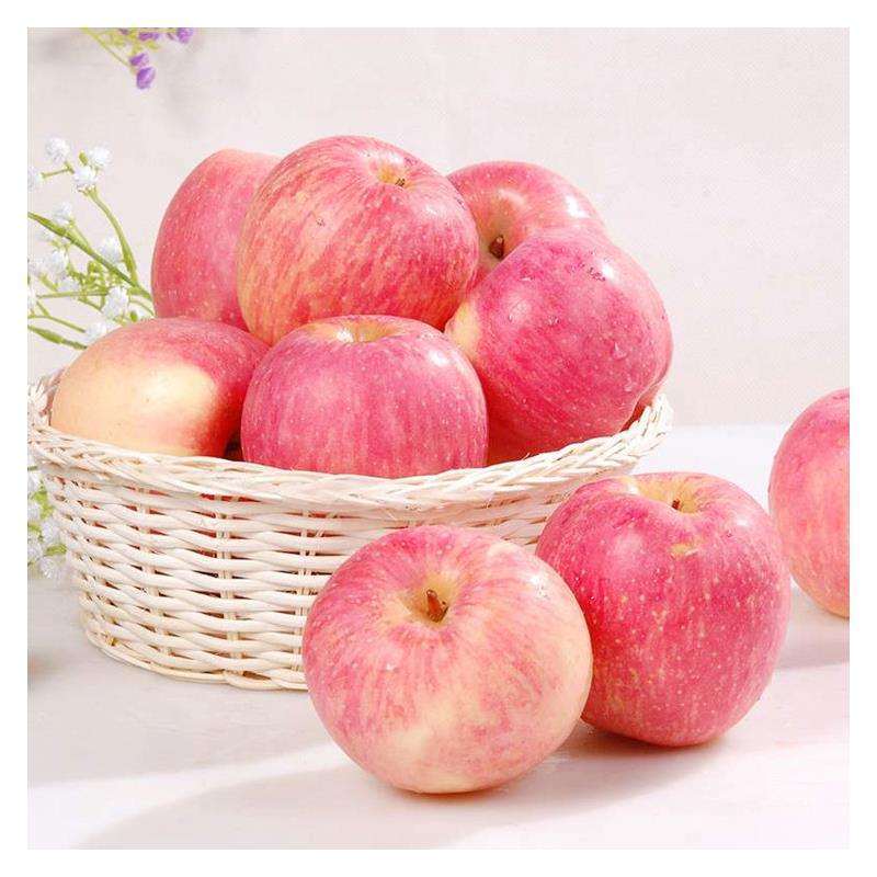Bảo Quản Táo Fuji