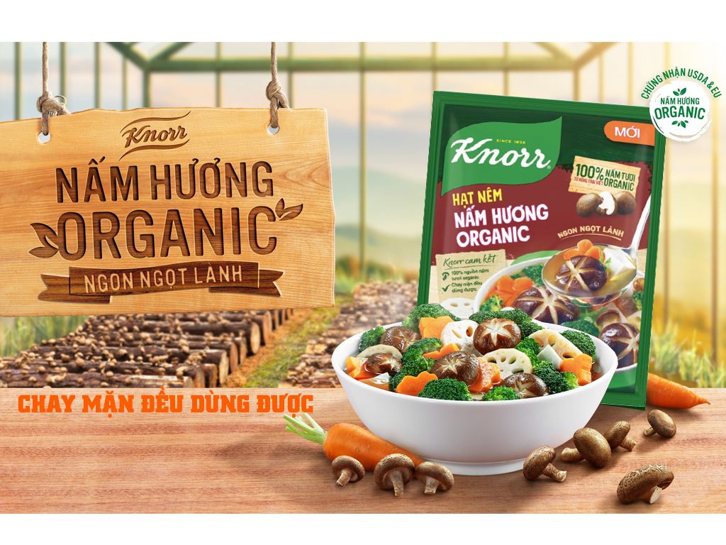 Hạt nêm chay nấm hương organic Knorr gói 170g 2