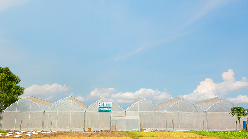 Rau dền 4KFarm 500gr 1