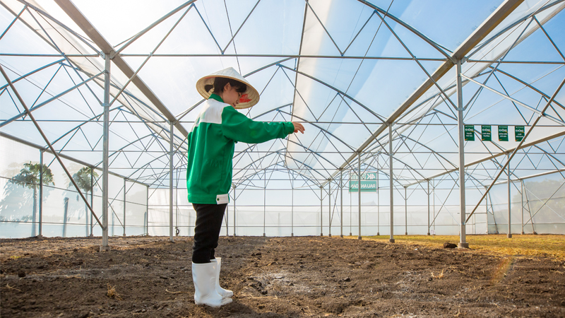 Rau dền 4KFarm 500gr 2