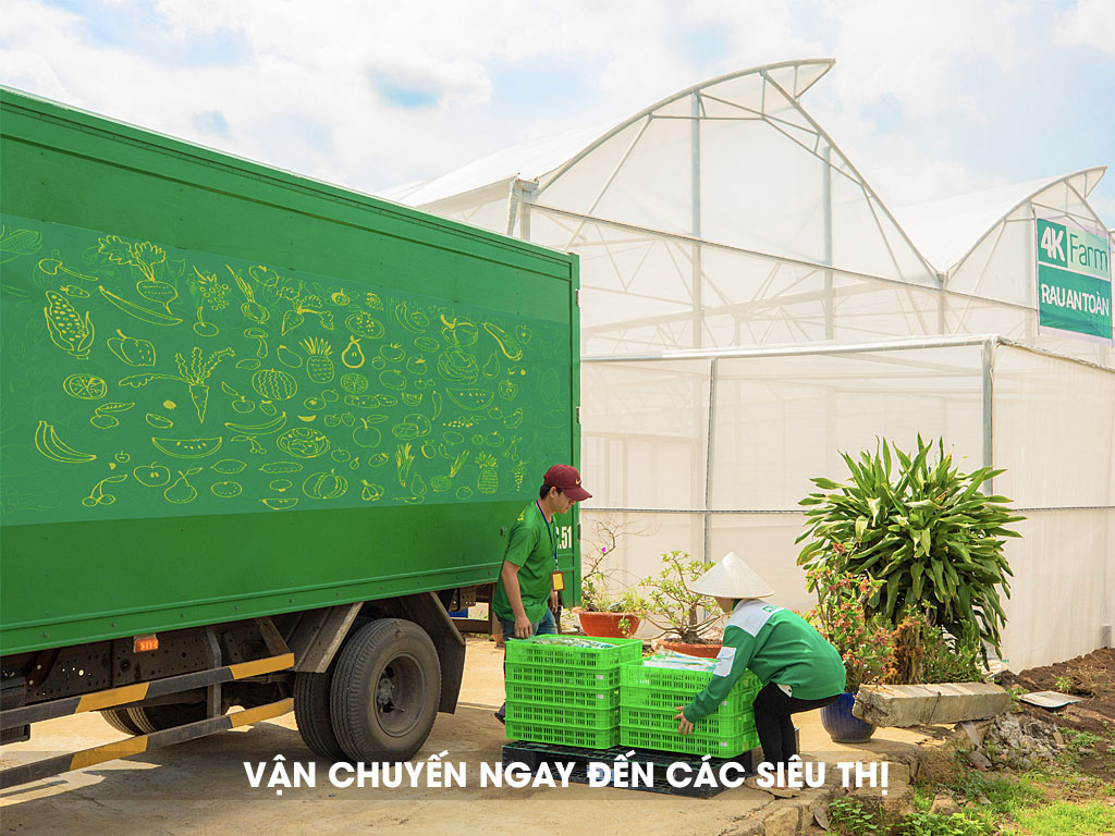 Rau dền 4KFarm 500gr 5