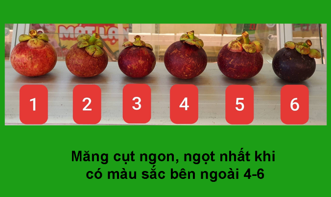 Măng Cụt Tươi Túi 0.9Kg - 1.1Kg Giá Tốt Tại Bách Hoá Xanh