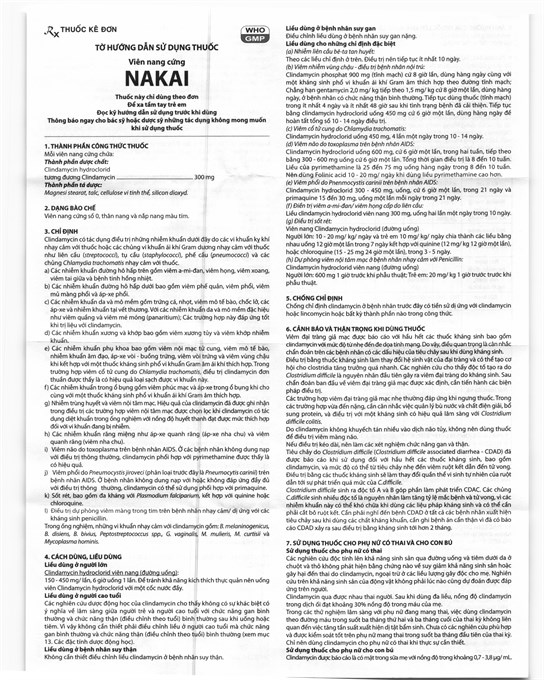 Nakai 300mg trị nhiễm khuẩn