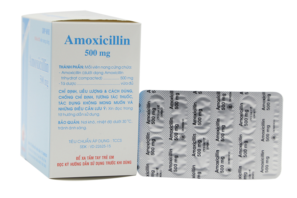 Thuốc Amoxicillin 500mg được sử dụng để điều trị những bệnh gì?
