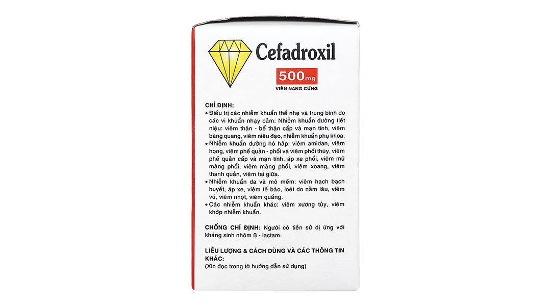 Cefadroxil Vidipha 500mg trị nhiễm khuẩn