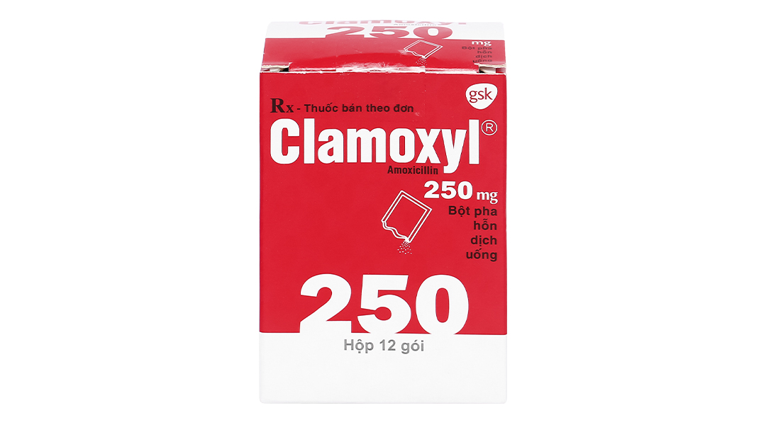 Thuốc kháng sinh Clamoxyl 250mg có chứa thành phần gì?