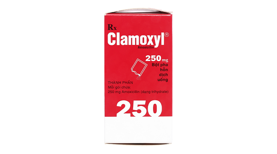 Bột pha hỗn dịch uống Clamoxyl 250 trị nhiễm khuẩn