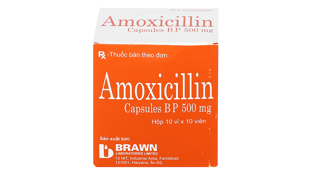Amoxicillin Brawn 500mg trị nhiễm khuẩn