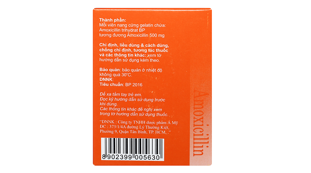 Amoxicillin Brawn 500mg trị nhiễm khuẩn