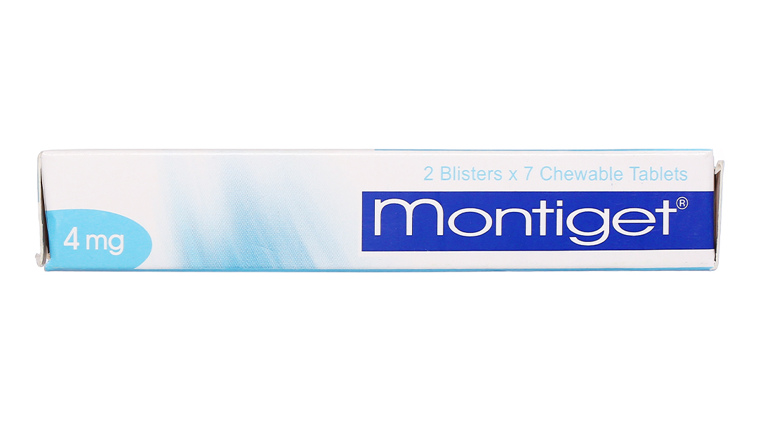 Montiget 4mg trị hen suyễn
