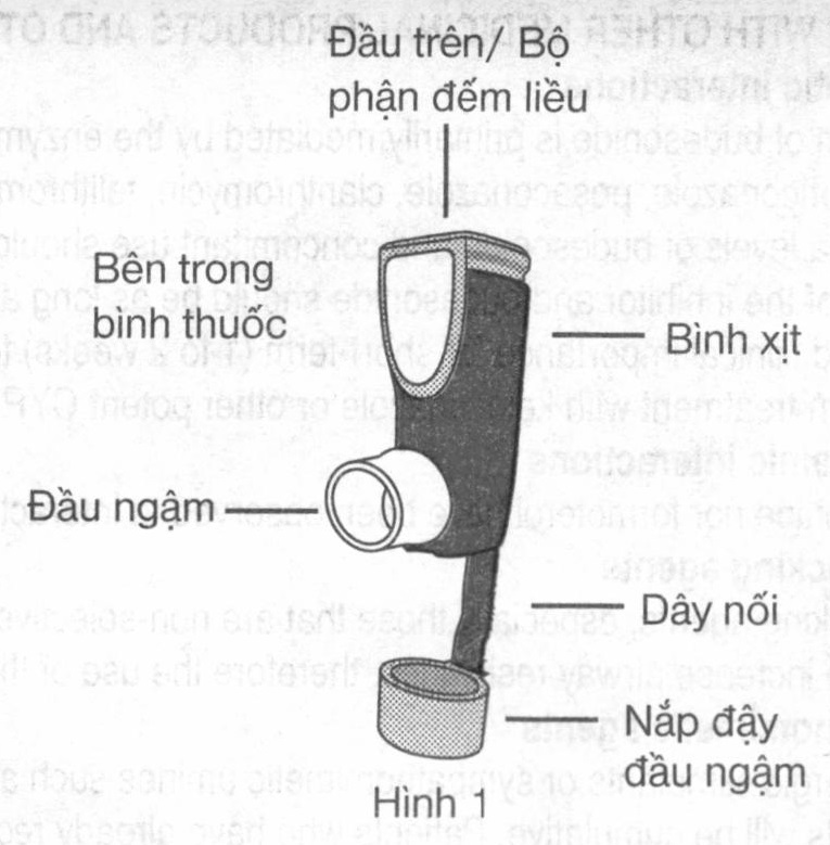 Bình xịt 