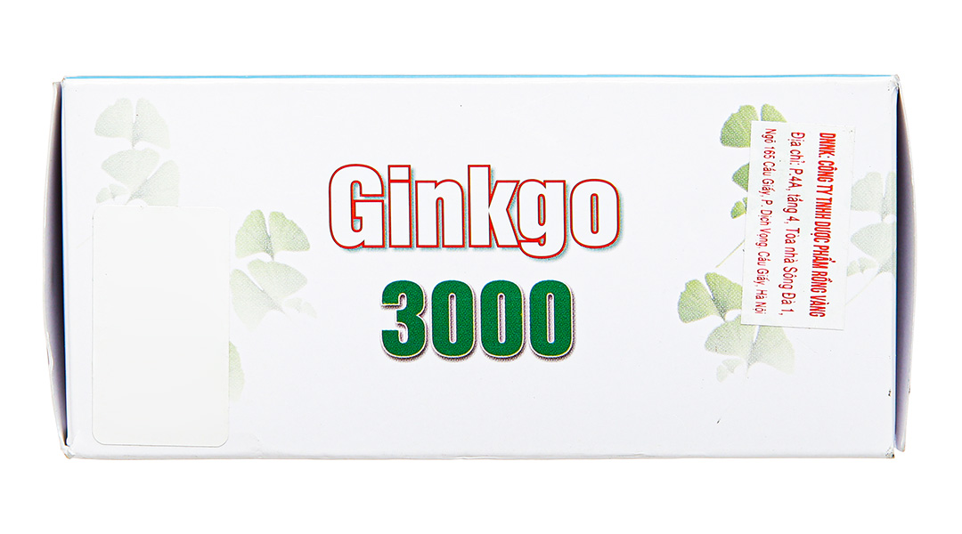 Ginkgo 3000 tuần hoàn máu não, giảm biến chứng đột quỵ