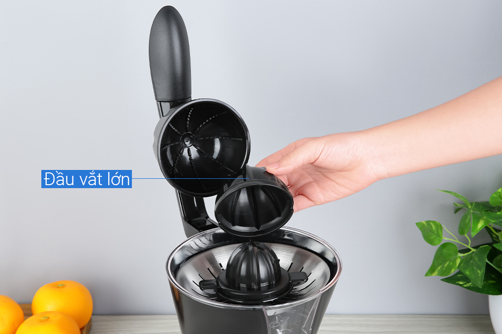 Máy vắt cam Lock&Lock 85W EJJ256BLK - 9