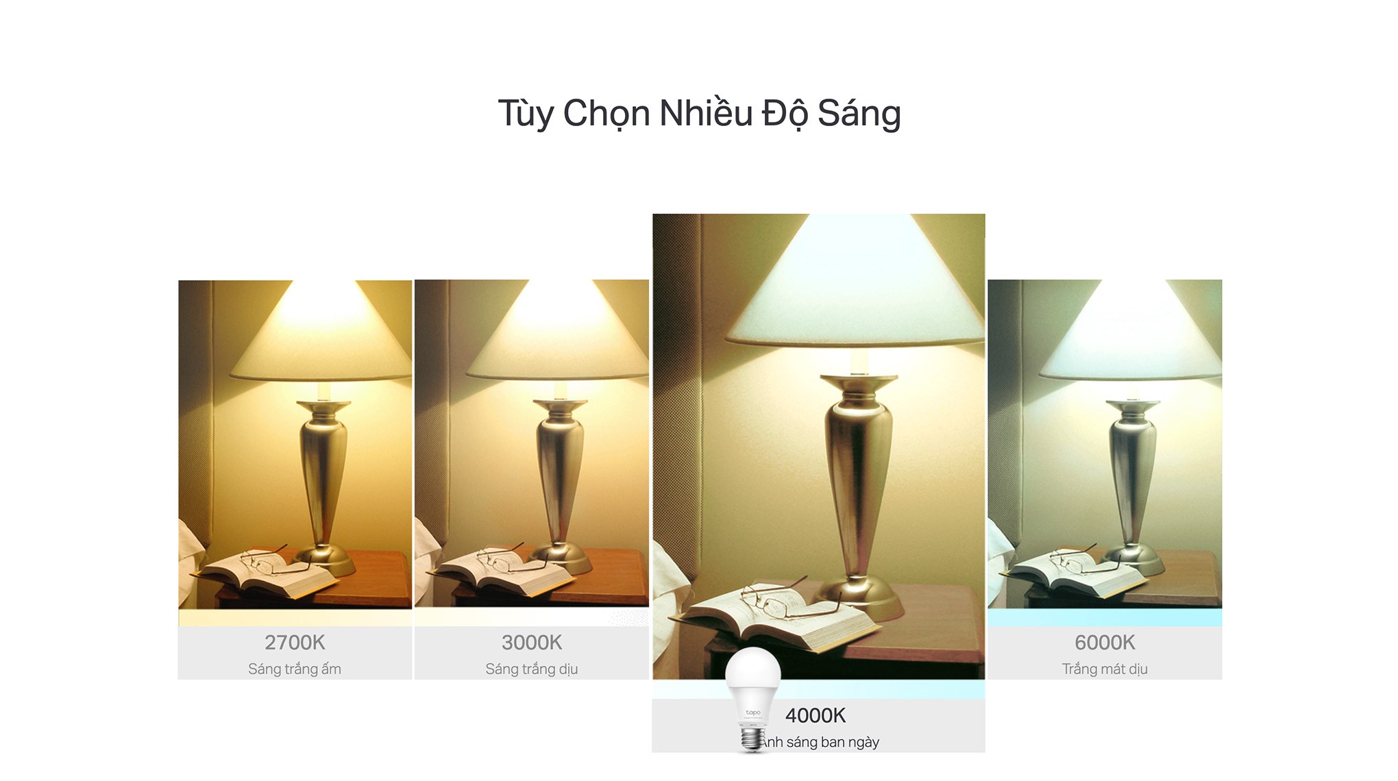 Bóng đèn thông minh TP-Link Tapo L520E Wifi