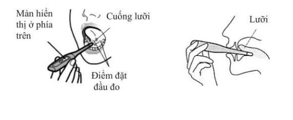 Đo miệng Đo miệng