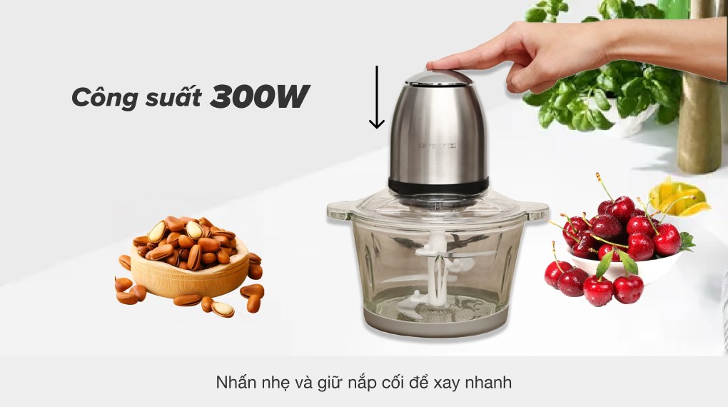 Máy xay thịt đa năng Perfect PF-X01