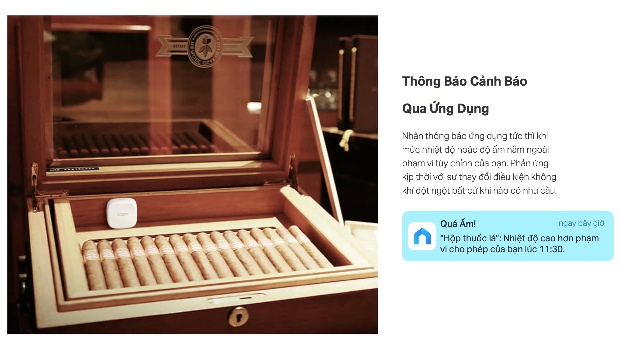 Cảm biến nhiệt độ và đổ ẩm thông minh TP-Link Tapo T310